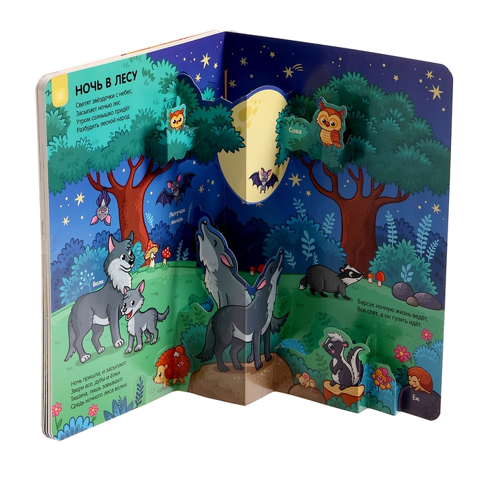 Играй и учись &laquo;Лес&raquo;