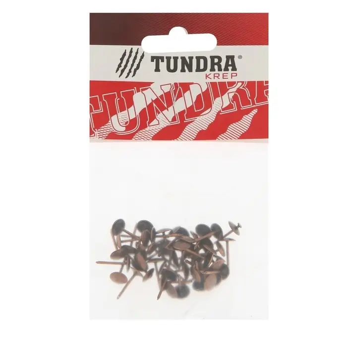 Гвозди ТУНДРА, декоративные, обивочные, 8&times;15 мм, медь, фасовка 50 шт.