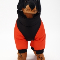 Комбинезон "Тренд", оксфорд, 2XL (ДС 43, ОШ 41, ОГ 53 см, вес 16-20 кг), оранжевый