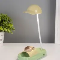 Ночник "Сланец с кепкой" 8хLED 3Вт 5V USB АКБ 3 режима 13,5х7х21 см