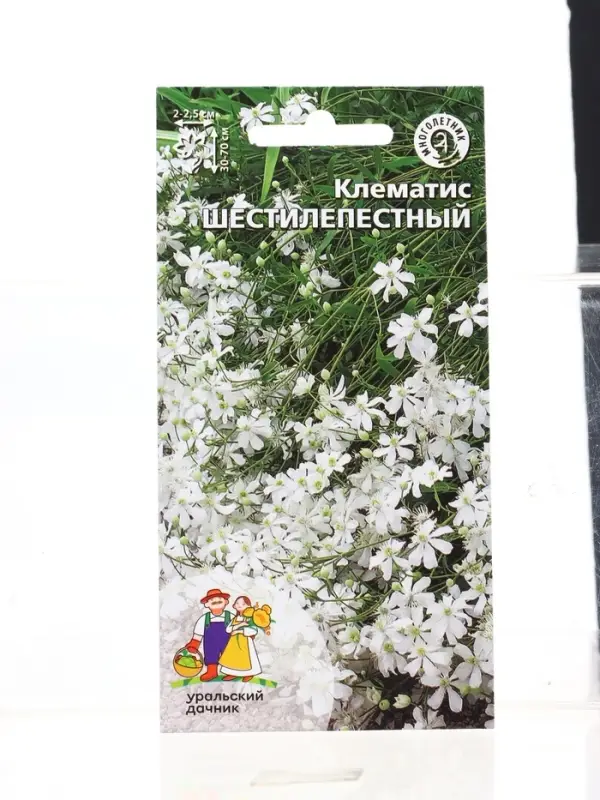 Семена Цветы Клематис Шестилепеcтный (УД) Е/П , Е/П,  10 шт.