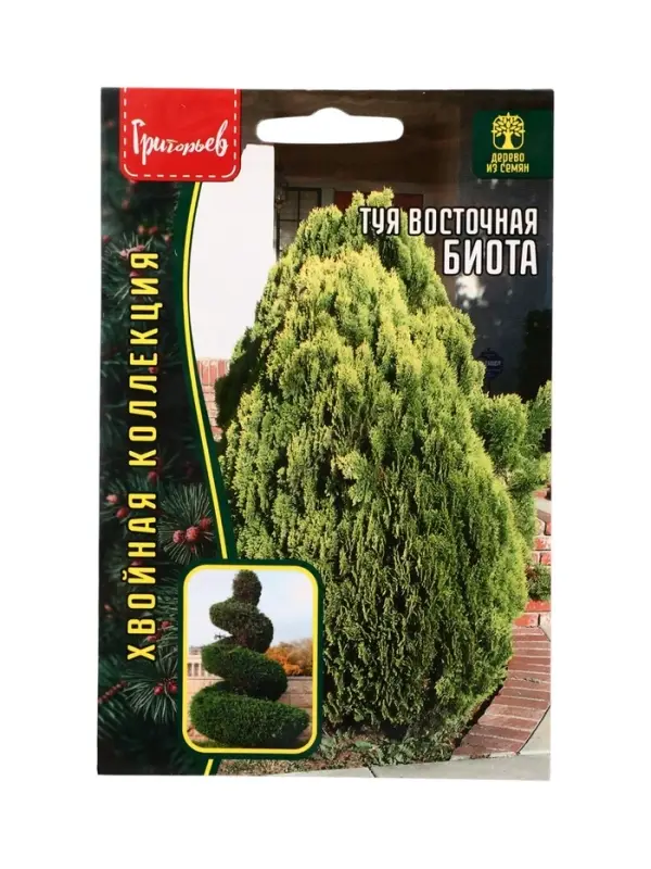 Семена цветов Туя Биота восточная  30 шт.  12.29 г.