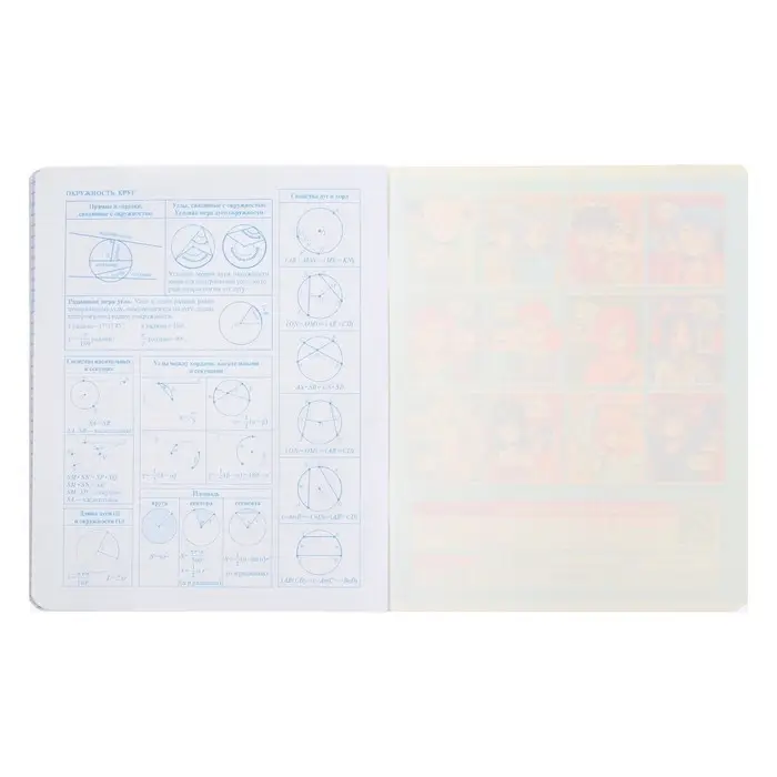 Тетрадь предметная 48 листов в клетку &laquo;Аниме. Геометрия&raquo;, обложка мелованный картон, УФ-лак, блок офсет