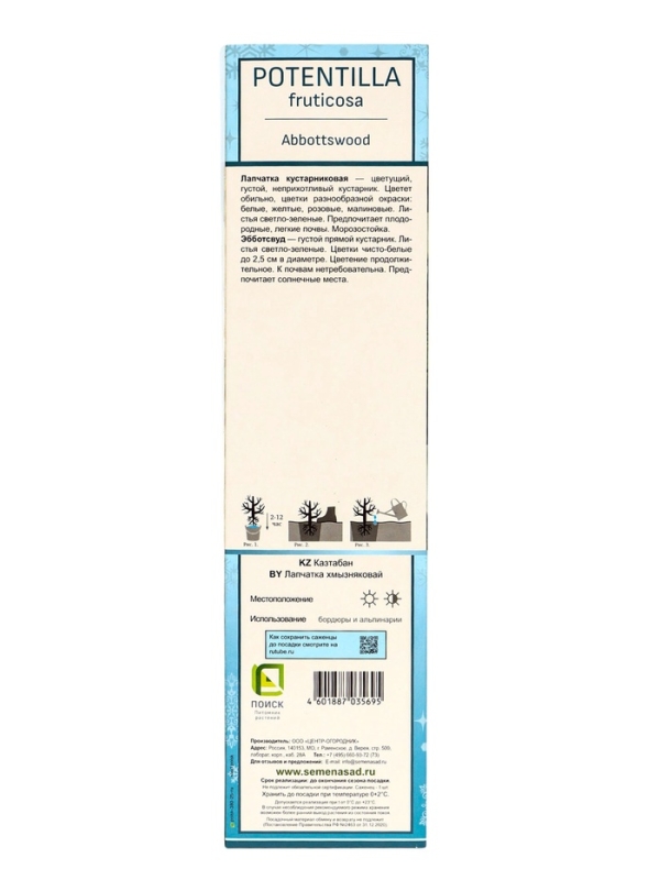 Лапчатка кустарниковая (Серия Северный сад) «Эбботсвуд» саженец, декоративный, цветущий, 1 шт., туба Лапчатка кустарниковая (Серия Северный сад) «Эбботсвуд» саженец, декоративный, цветущий, 1 шт., туба