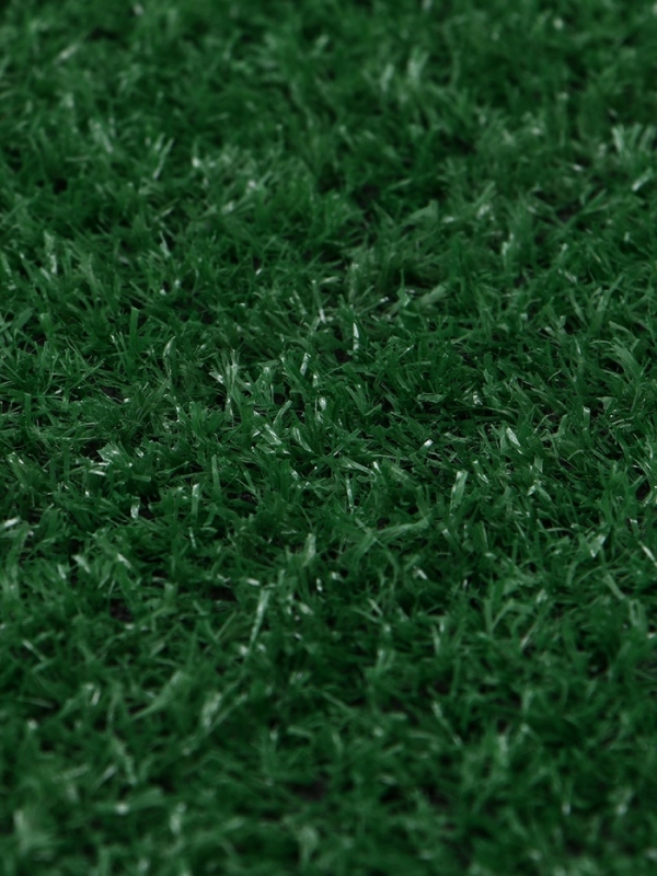 Газон искусственный, ворс 10 мм, 1 &times; 2 м, зелёный, Greengo