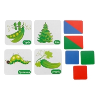 Набор карточек "Звукобуквенные карточки для фонетического разбора (+ 36 цветных карточек)"