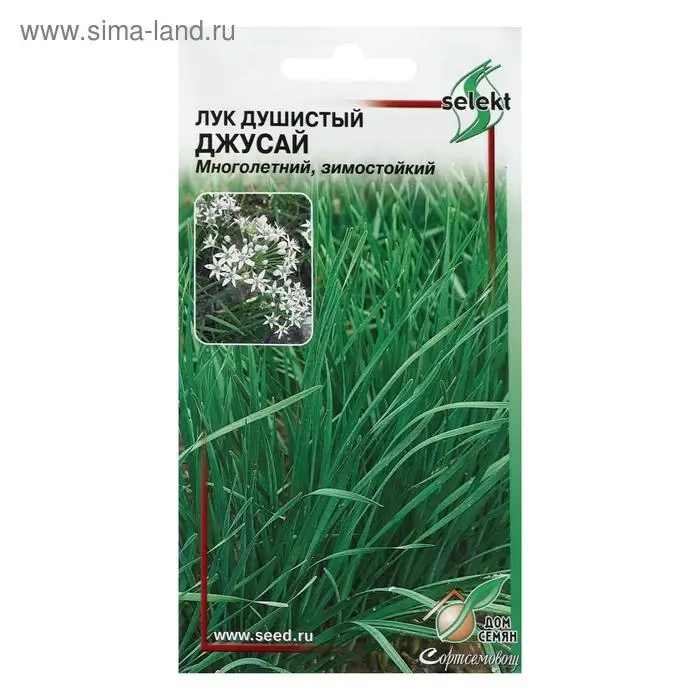 Семена Лук душистый "Джусай", 40 шт.