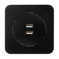 Розетка с 2 USB-A разъёмами, 2.1А, 5В, серия "Circular", 10 А, скрытая, черная