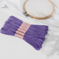 Набор ниток мулине №3746, 8 &plusmn; 1 м, 6 шт, цвет ярко-фиолетовый