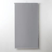 Штора рулонная &laquo;Механика. Блэкаут&raquo;, 100&times;180 см (с учётом креплений 3,5 см), цвет серый