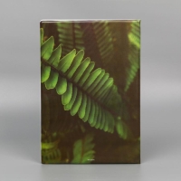 Папка для семейных документов &laquo;Docs&raquo;, 8 файлов А4