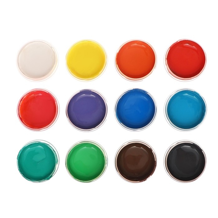 Краска акриловая, набор 12 цветов х 20 мл, Calligrata, художественная, морозостойкая, в картонной коробке Краска акриловая, набор 12 цветов х 20 мл, Calligrata, художественная, морозостойкая, в картонной коробке