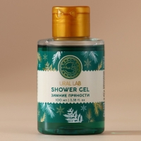 Гель для душа, 100 мл, аромат зимних пряностей, Новый Год Гель для душа, 100 мл, аромат зимних пряностей, Новый Год