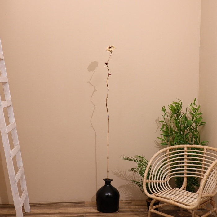 Сухоцвет на бамбуковом стебле 150 см белый Сухоцвет на бамбуковом стебле 150 см белый