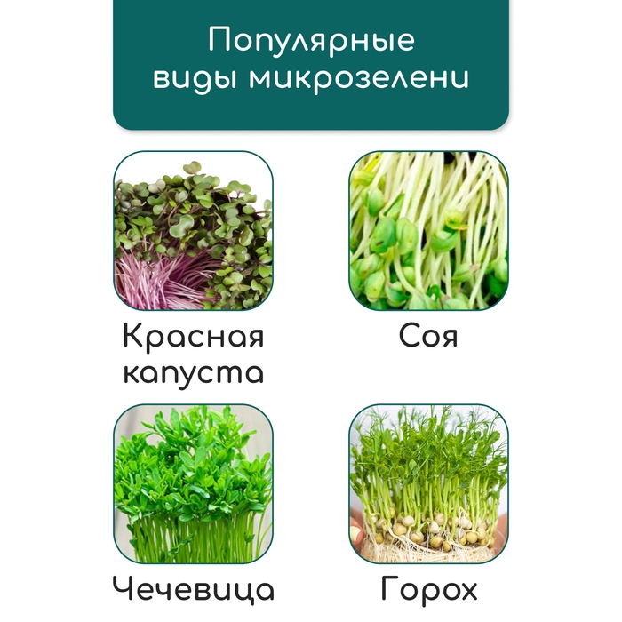 Коврик из кокосового волокна, для выращивания микрозелени, 50 &times; 25 см, Greengo