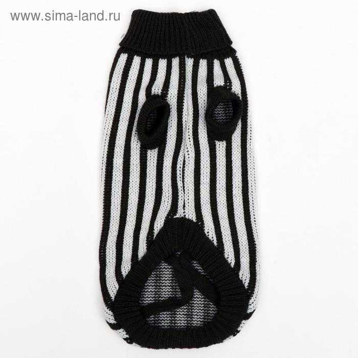 Свитер, размер 12 (ДС 36-51, ОШ 18-33, ОГ 32-47 см), микс расцветок