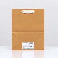 Пакет ламинированный &laquo;Коричневый&raquo;, 18 х 23 х 10 см