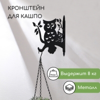 Кронштейн для кашпо, 25 см, «Сова», Greengo Кронштейн для кашпо, 25 см, «Сова», Greengo