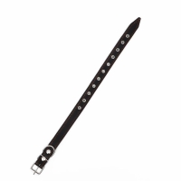 Ошейник кожаный на синтепоне, безразмерный, 54 х 2,5 см, ОШ 19-47 см, чёрный Ошейник кожаный на синтепоне, безразмерный, 54 х 2,5 см, ОШ 19-47 см, чёрный