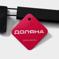 Вешалка для брюк и юбок Доляна, 29&times;13 см, с зажимами, чёрная