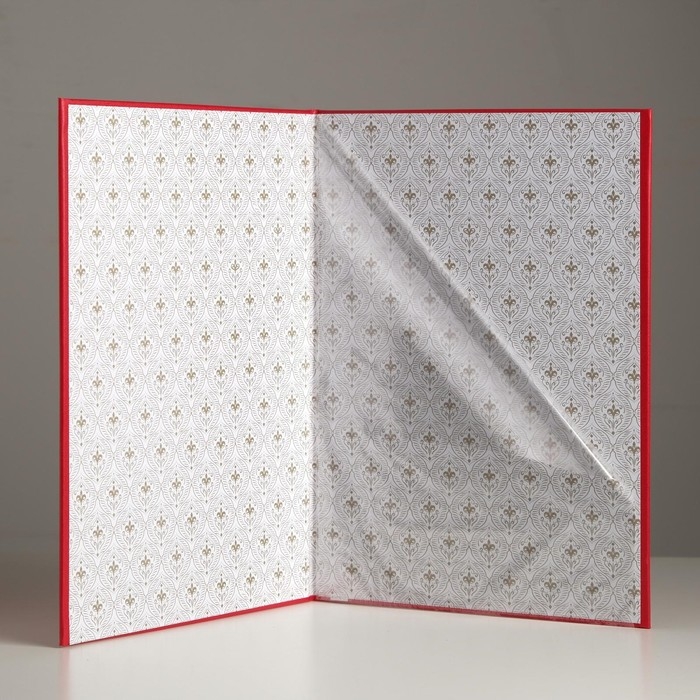 Папка для свидетельства о рождении Папка для свидетельства о рождении "Красная" бумвинил, мягкая, А4