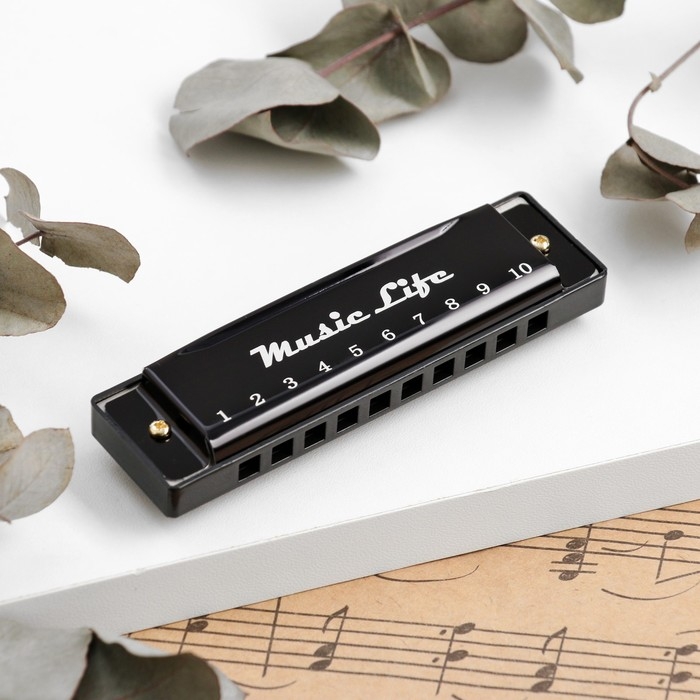 Губная гармошка Music Life, диатоническая, C-major, с футляром, черная Губная гармошка Music Life, диатоническая, C-major, с футляром, черная