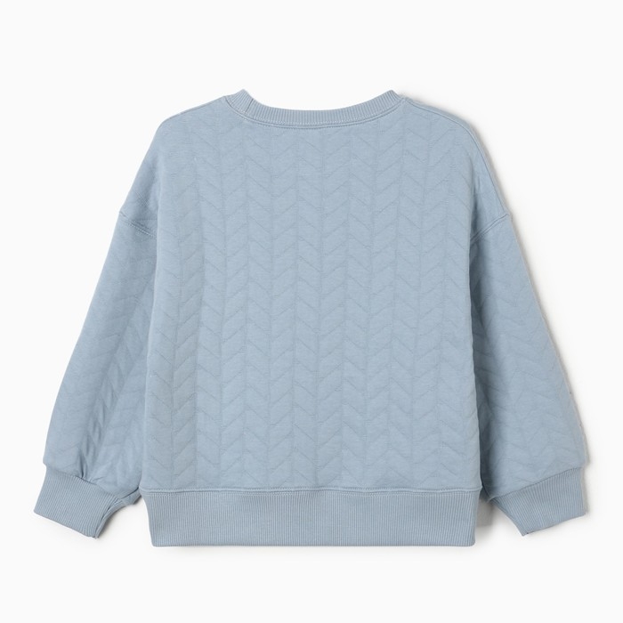 Свитшот для девочек, цвет серо-голубой, размер 116 см