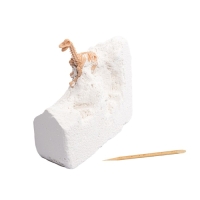 Настольная игра &laquo;Раскопки. Большой набор юного палеонтолога&raquo;, 5 динозавров