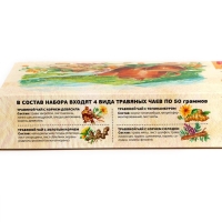 Подарочный набор травяных чаёв Золотая коллекция, 4*50 г
