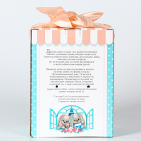 Новогодняя мягкая игрушка &laquo;Зимняя Li&raquo;, заяц, 25 см, на новый год