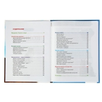 Детская энциклопедия «Кошки» Детская энциклопедия «Кошки»