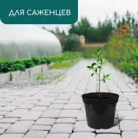 Горшок для рассады, 2 л, d = 17,5 см, h = 13 см, пластик, чёрный, Greengo