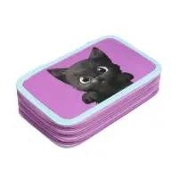 Пенал 3 секции, 125 х 205 х 55 мм, Calligrata 30П26/3 "Кот чёрный", ламинированный картон