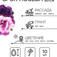 Семена цветов Петуния  Махровая Каскадная Блю&Орхид F1, смесь, О, 10шт