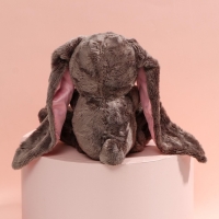 Мягкая игрушка &laquo;Li и Didi&raquo;, заяц, 25 см
