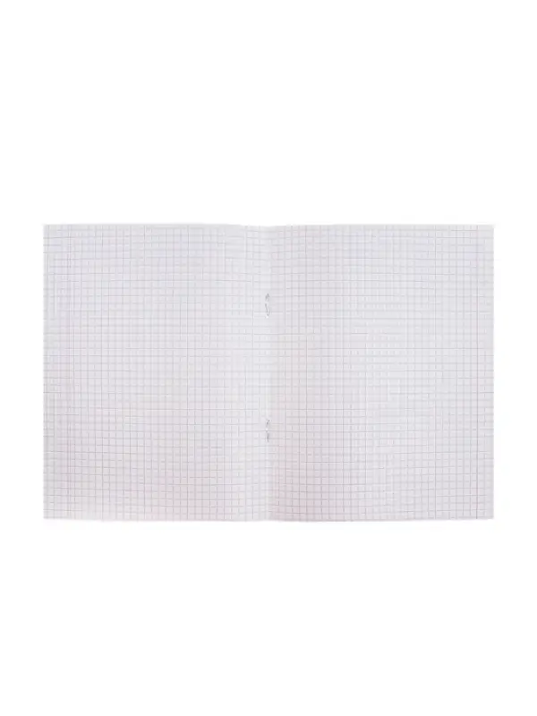 Тетрадь 48 листов в клетку Calligrata &laquo;Лисички&raquo;, обложка мелованная бумага, серые листы, МИКС