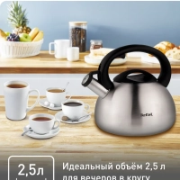 Чайник для плиты C7921024 из нержавеющей стали, со свистком