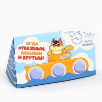 Печенье с предсказанием &laquo;23 февраля&raquo;, 3 шт