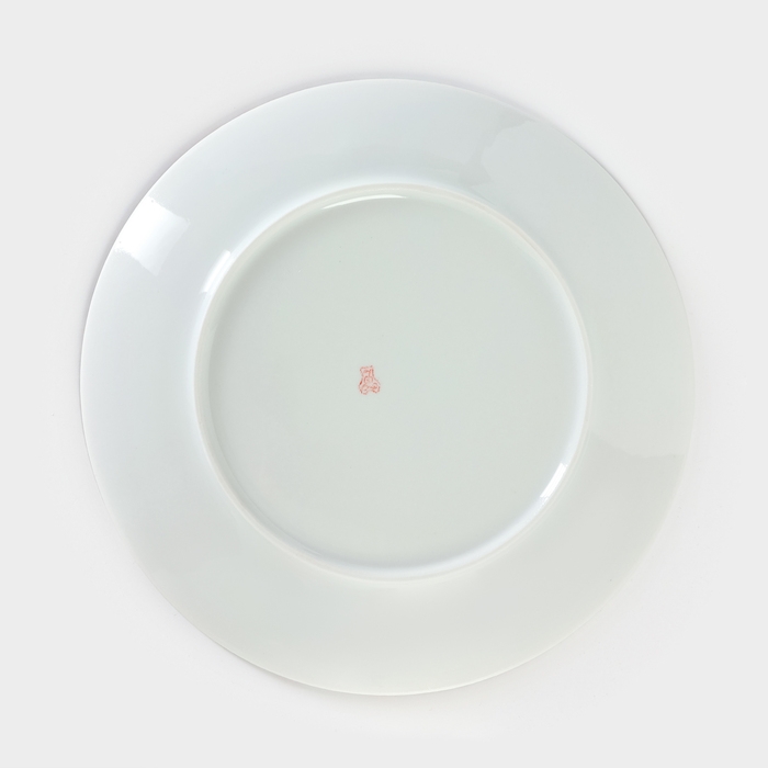 Тарелка фарфоровая &laquo;Энигма&raquo;, d=24 см