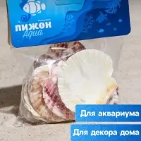 Набор ракушек, "Гребешок пуксидатус", размер 4 - 6 см, 100 г