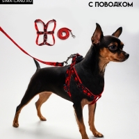 Комплект "Большая лапа", ширина 1,5 см, поводок 120 см, шлейка 28-42 см, красно-чёрный Комплект "Большая лапа", ширина 1,5 см, поводок 120 см, шлейка 28-42 см, красно-чёрный
