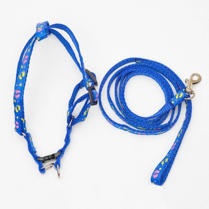 Шлейка с поводком &laquo;Цветные следы&raquo;, 23-35 см, ширина 1 см, поводок 120 см, синяя