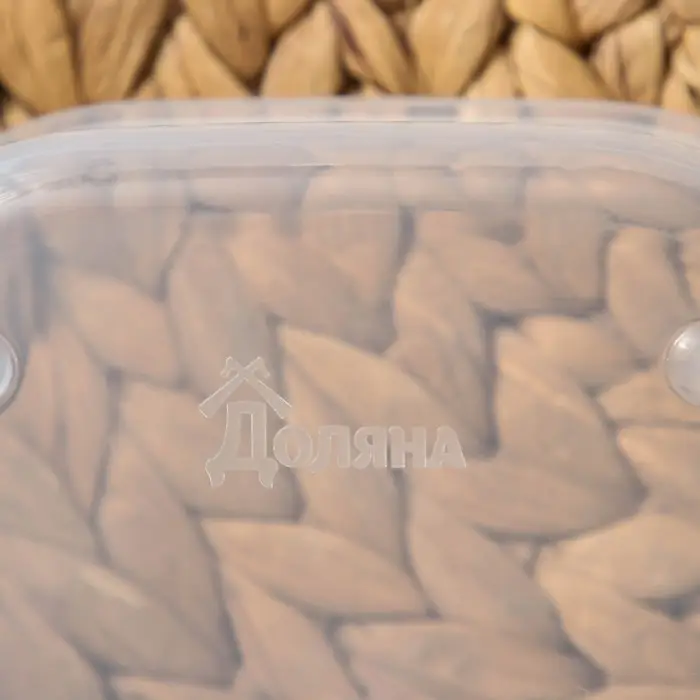 Набор контейнеров пищевых Доляна, квадратных, 2 шт: 450 мл, 700 мл, цвет голубой