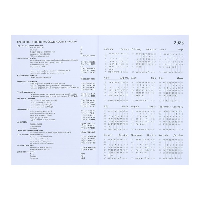 Ежедневник датированный 2024 года, А5, 176 листов, Attomex.Regent, обложка бумвинил, ляссе, блок 70 г/м2, синий