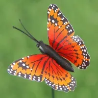 Штекер "Бабочка Атрис" 7х7см/30см, МИКС