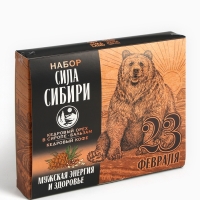 Набор &laquo;Сила Сибири&raquo;: кедровый орех в сосновом сиропе 25 г., бальзам 100 мл., кедрокофе 50 г.