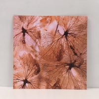 Фотофон двусторонний картон плотность 350 гр "Цветы" 50х50 см Фотофон двусторонний картон плотность 350 гр "Цветы" 50х50 см