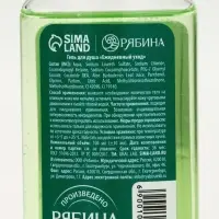 Гель для душа новогодний, аромат: яблочный пунш, 100 мл, Ural Lab