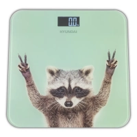 Весы напольные H-BS03589