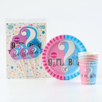 Набор одноразовой посуды &laquo;Гендер Пати&raquo;, 17 предметов